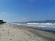 TERRENO EN VENTA PARA FRACCIONAR PARAISO TABASCO