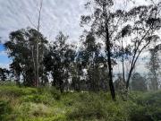 Terreno en Venta para Proyecto: Inmobiliario / Inversión...