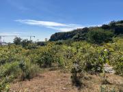 Terreno en venta periferico Ciudad Granja