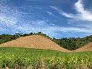 Terreno en venta PETRILLO