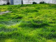 Terreno En Venta Plano y Eriazo En La Florida De 900mts2!