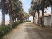 TERRENO EN VENTA PLAYA ARIZONA 1 Mollendo Mejía