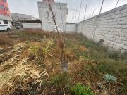 Terreno en Venta, Playa Chica