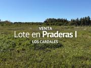 TERRENO EN VENTA, PRADERAS 1, LOS CARDALES