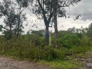 Terreno en venta puembo