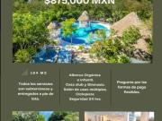 Terreno en Venta Puerto Morelos