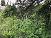 TERRENO EN VENTA RANCHO SAN JUAN