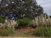 Terreno en Venta, Rancho San Juan Cod. VTE725