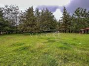 TERRENO EN VENTA, RANCHO VIEJO, TAPALPA, JALISCO