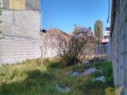 Terreno en Venta Reforma, San Mateo Atenco