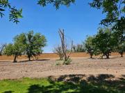 TERRENO EN VENTA RESIDENCIAL LAS VILLAS TORREÓN, COAHUILA
