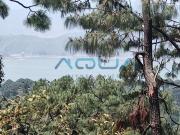 TERRENO EN VENTA, RINC?N DEL BOSQUE