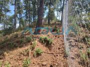 TERRENO EN VENTA, RINC?N DEL BOSQUE