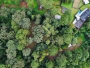 Terreno en venta rodeado de bosque