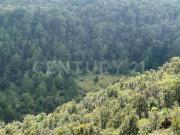 TERRENO EN VENTA, RUSTICO. RANCHERIA EL MANZANILLO, SAN...