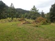 Terreno en venta, Salazar I, Nicolas Romero
