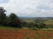 Terreno en venta, Salazar I, Nicolas Romero
