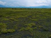 Terreno en venta San Antonio La Isla