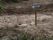 Terreno en Venta San Bruno Yucatán