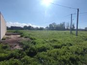 Terreno en venta San Carlos