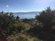 Terreno en venta en San Juan Cosala, Jocotepec, Jalisco