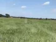 Terreno en venta, San Lorenzo, Cadereyta Jiménez, Nuevo...