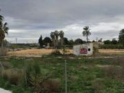 Terreno en venta San Miguel de Salinas