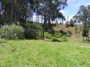 TERRENO EN VENTA SAN PATRICIO BAJO CUMBAYA