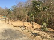 Terreno En Venta San Pedro Pochutla