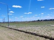 Terreno en venta San Rafael Mendoza