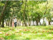 Terreno en venta San Vicente