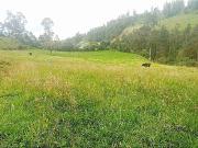 Terreno en venta Sangolquí los tubos