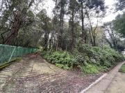 Terreno en venta Santa Maria Mazatla