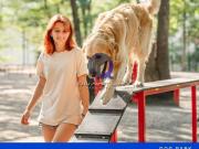 Terreno en venta Santa Mónica