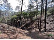 TERRENO EN VENTA SANTIAGO NUEVO LEON CORRAL DE PIEDRA