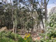 Terreno en venta, Sayavedra. gran oportunidad para...