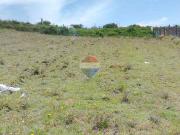 Terreno en venta sector tenerias Terreno en venta sector tenerias