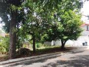 Terreno en venta SM 50