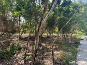 TERRENO EN VENTA SOBRE AV. COROZAL