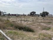 Terreno en venta sobre carretera 45 Sur Ejido La Cotorina