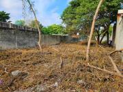 Terreno en venta sobre circuito colonias