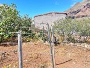 Terreno en venta Tamaimo