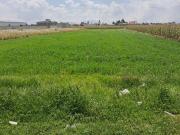 Terreno en venta, Tecnológico, Metepec, Estado de México