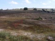 TERRENO EN VENTA TEPEJI DEL RIO CON POTENCIAL INDUSTRIAL