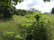 Terreno en Venta Tetecalita, Emiliano Zapata