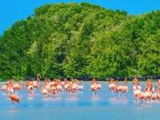 TERRENO EN VENTA TETIZ YUCATAN, SOBRE CARRETERA