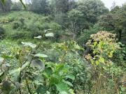 TERRENO EN VENTA, TEZIUTLAN PUEBLA