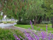 Terreno en venta Tierraverde Aguascalientes