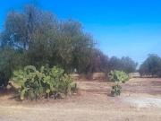 Terreno en Venta Tizayuca Hidalgo