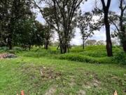 TERRENO EN EL CIELO COUNTRY CLUB CATEGORIA AAA CAMPO DE GOLF